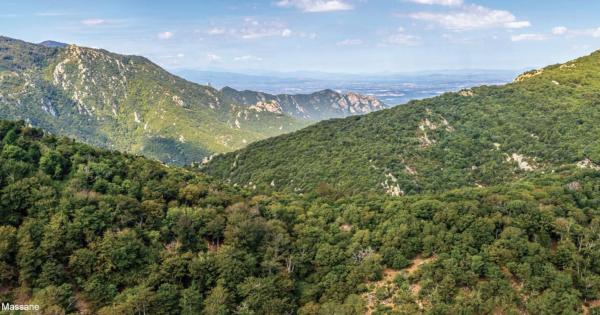 LA HÊTRAIE DE LA MASSANE INSCRITE À L'UNESCO